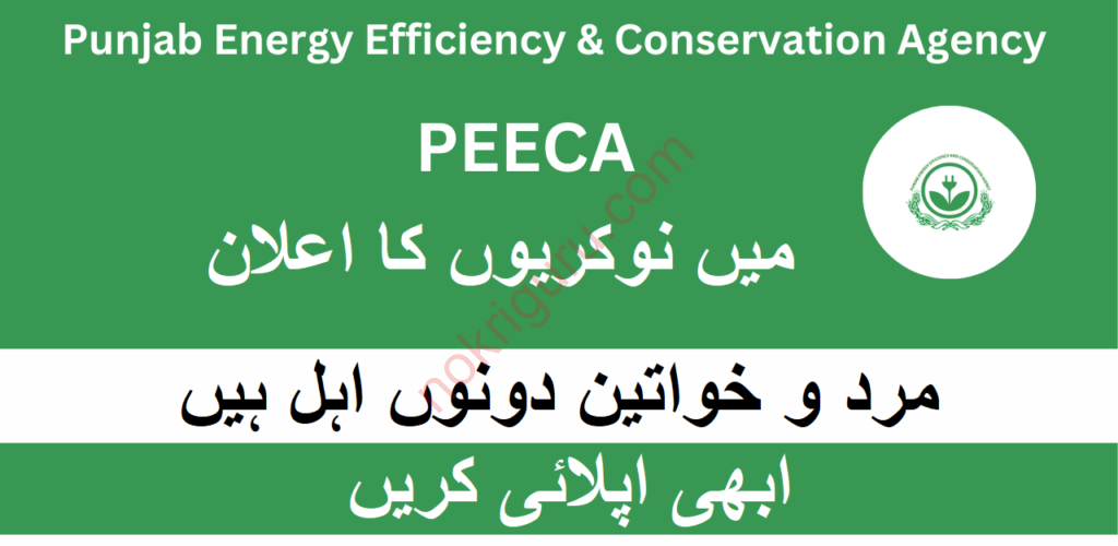 Latest PEECA Jobs October 2024