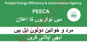 Latest PEECA Jobs October 2024